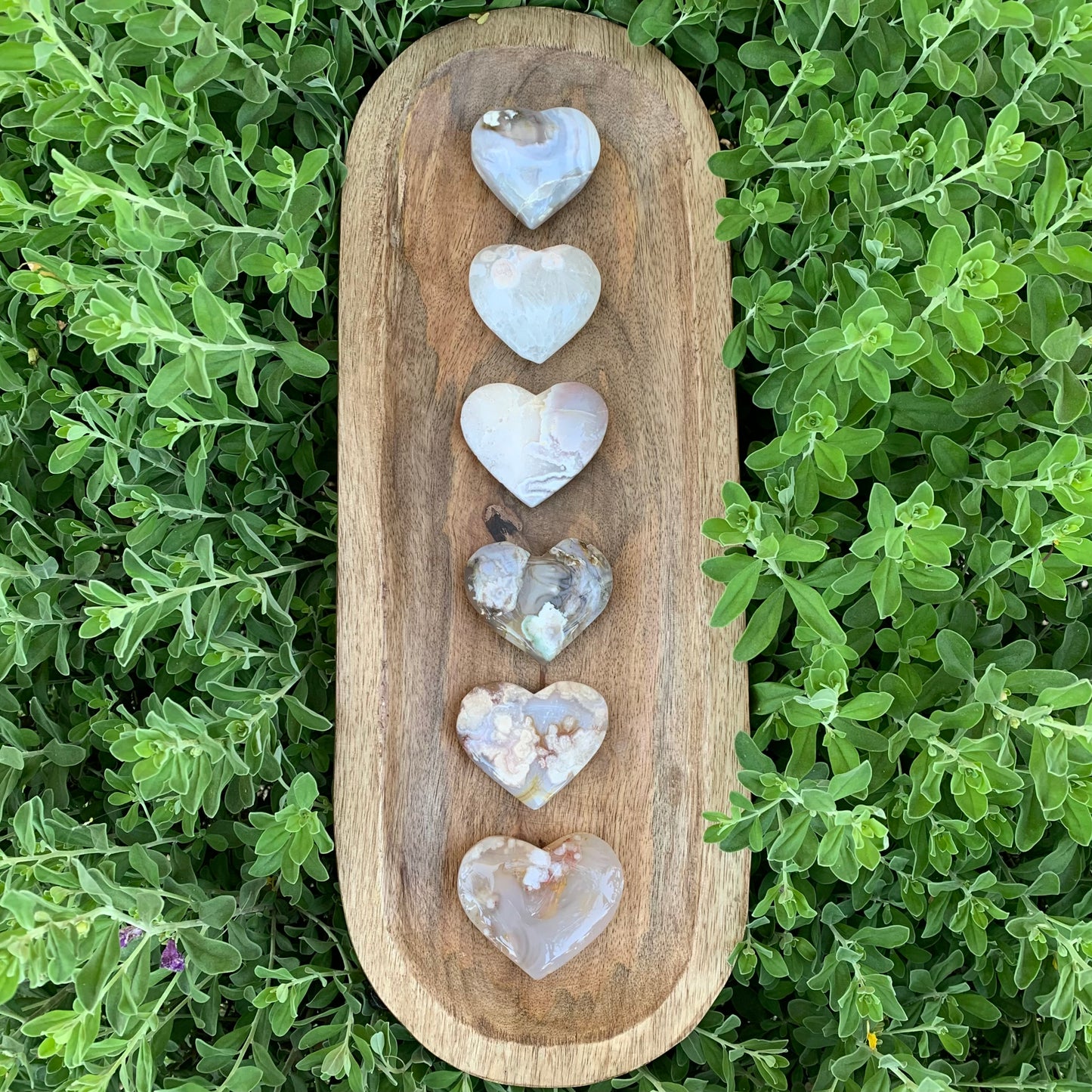 Beautiful Flower Agate Hearts - Blossom Agate - 2" to 2.5"