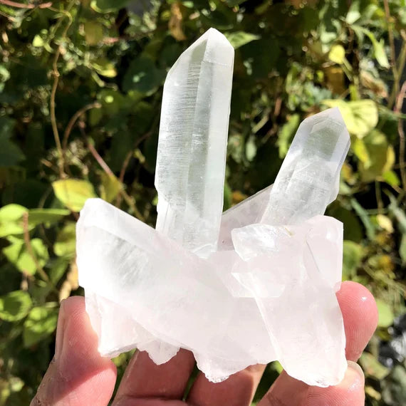 Rare White Quartz Cluster 2"- 6" Wide
