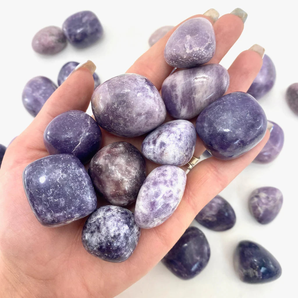 Natural Brazilian Lepidolite - 1" Tumbled Stones