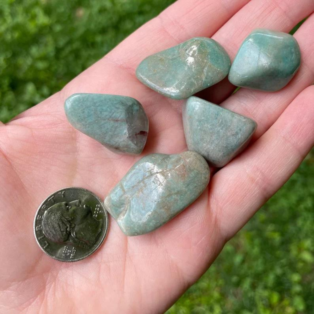 Amazonite Tumbled Stones Stones Crystal Shop