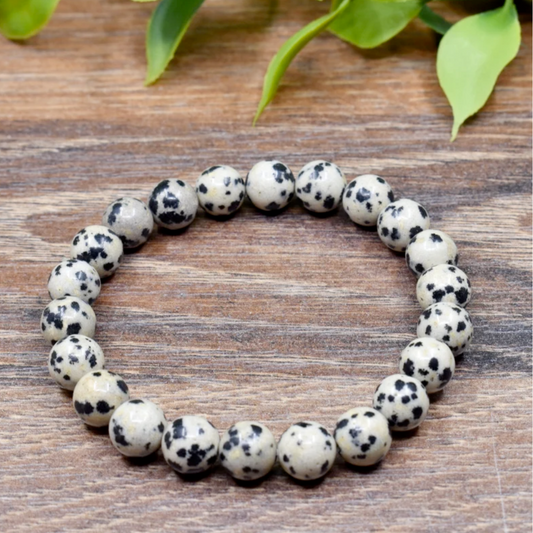 Dalmatian Jasper Bracelet Stones Crystal Shop