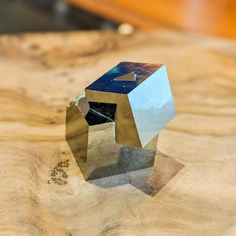 Make Your Own Gold Bars Navajun Spain Mine - Pyrite Cube Crystal With  Display Case-#PC8