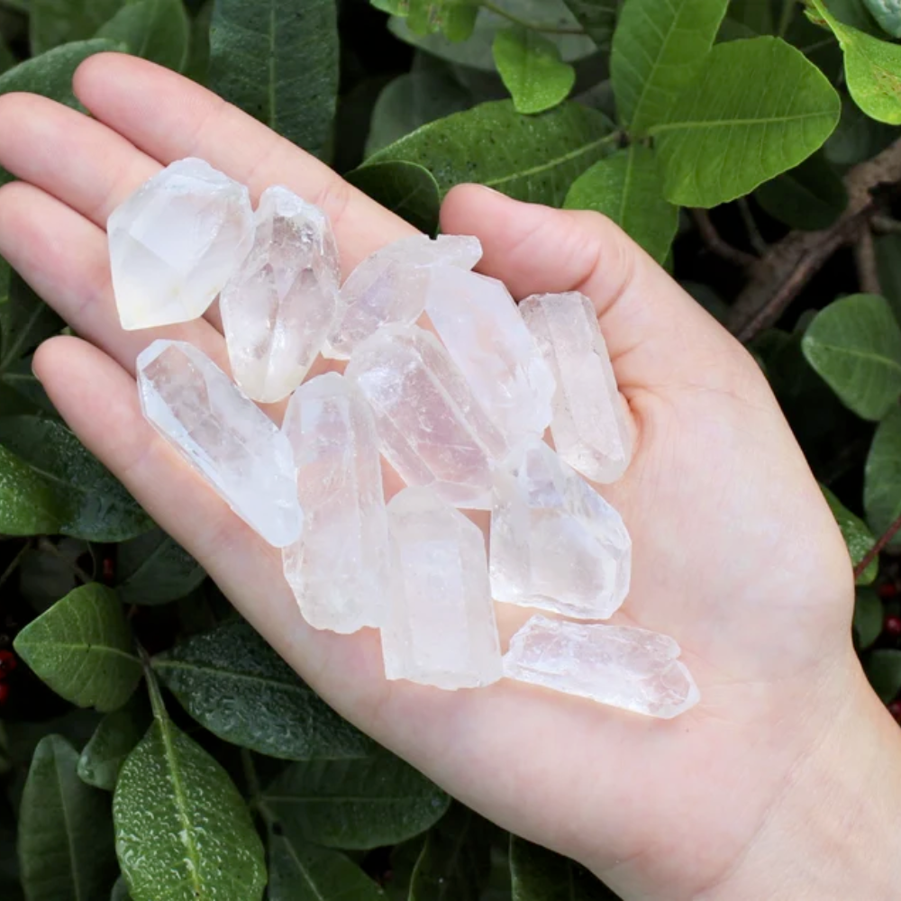 Raw Quartz Crystal Point Stones Crystal Shop