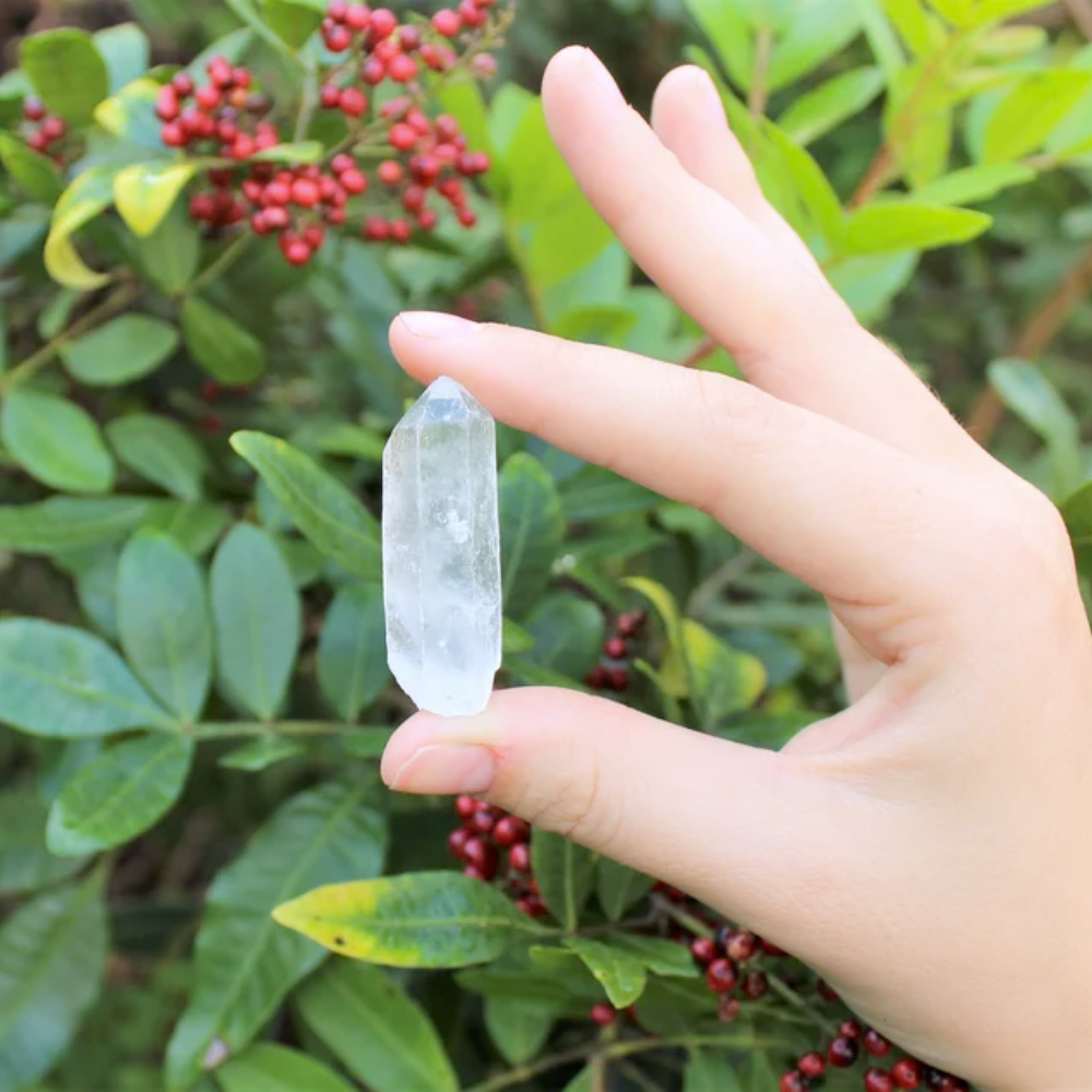 Raw Quartz Crystal Point Stones Crystal Shop