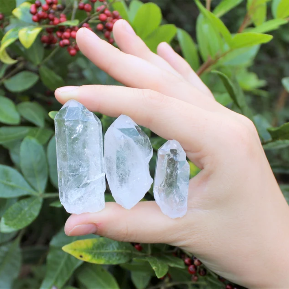 Raw Quartz Crystal Point Stones Crystal Shop