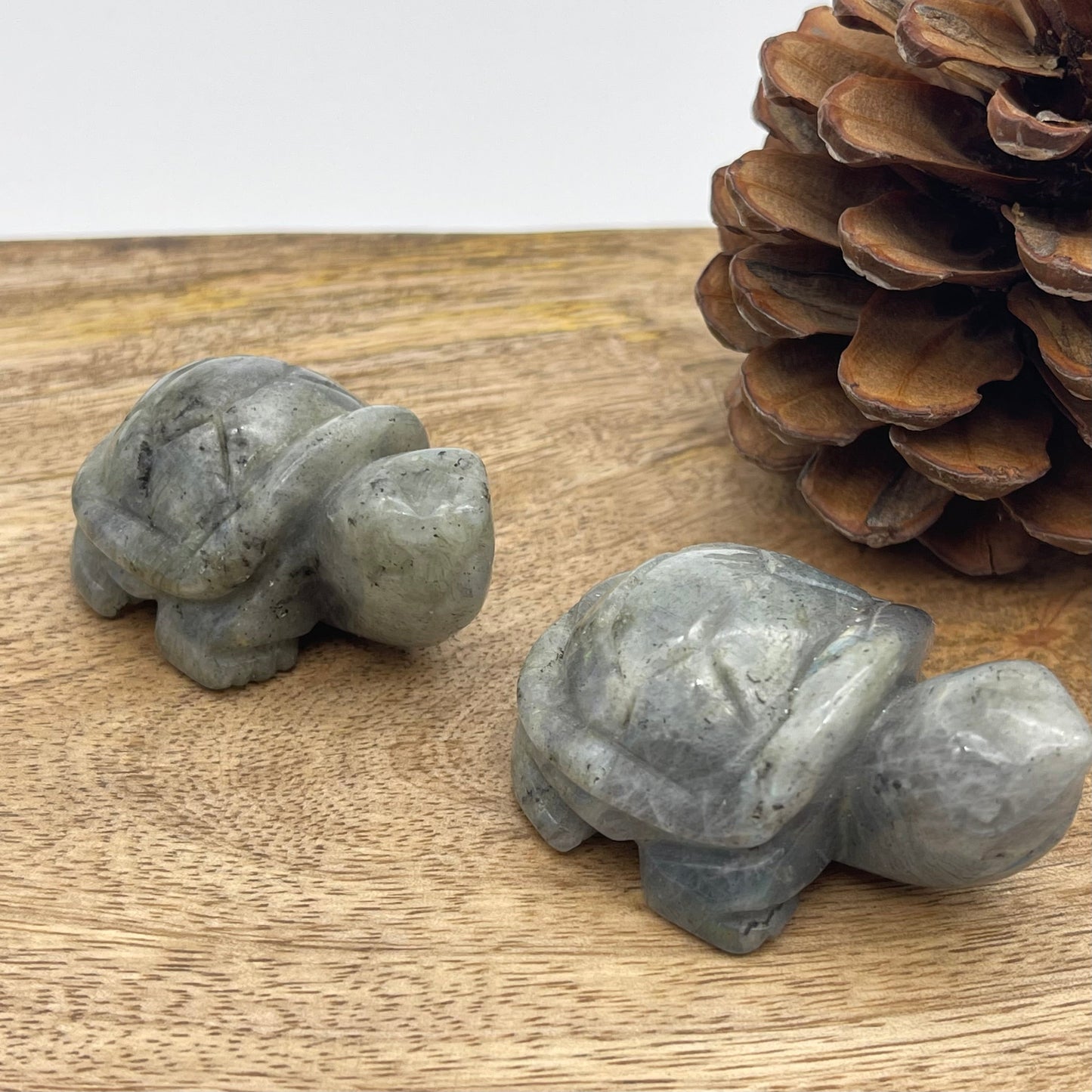 Turtle Gemstone (draft for Bandar review) Stones Crystal Shop