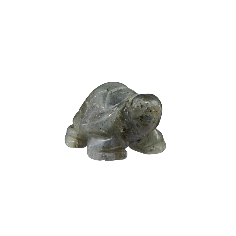 Turtle Gemstone (draft for Bandar review) Stones Crystal Shop