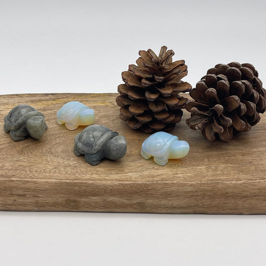 Turtle Gemstone (draft for Bandar review) Stones Crystal Shop