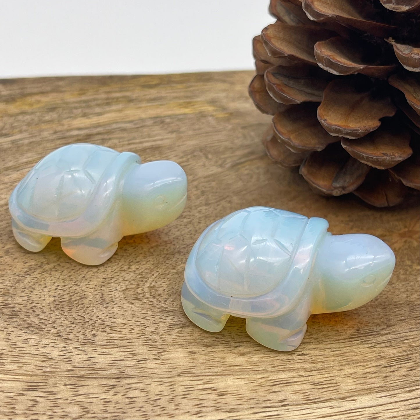 Turtle Gemstone (draft for Bandar review) Stones Crystal Shop
