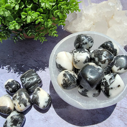 Zebra Jasper Tumbled Stones - 1" White & Black Crystals