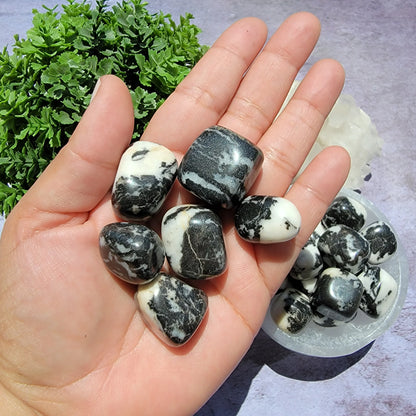 Zebra Jasper Tumbled Stones - 1" White & Black Crystals