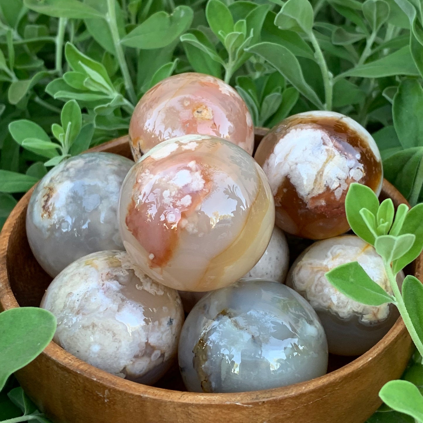 Flower Blossom Agate Jasper Spheres - Available in 2 Sizes