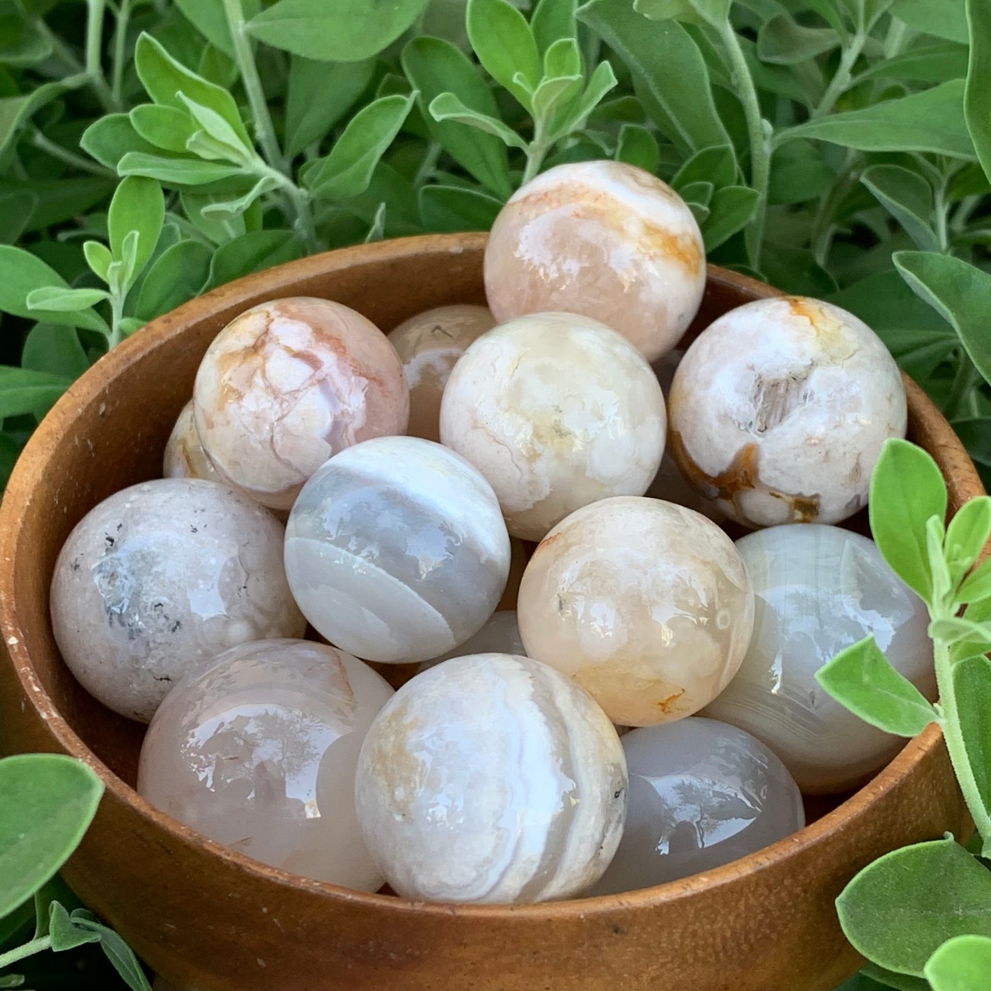 Flower Blossom Agate Jasper Spheres - Available in 2 Sizes