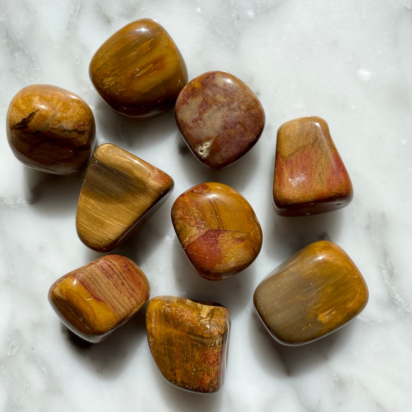 Petrified Wood Tumbled Stones -  1.5" Palm Crystal