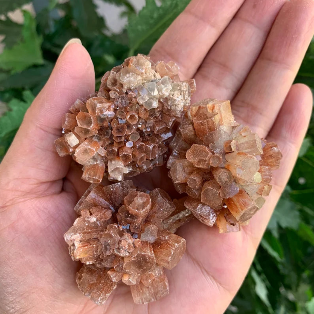 Aragonite Crystal Cluster Stones Crystal Shop