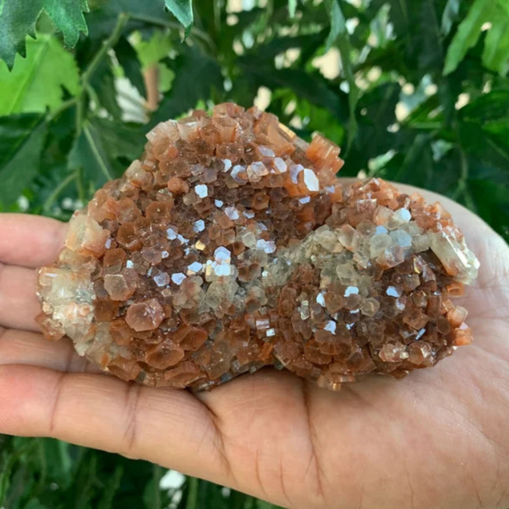 Aragonite Crystal Cluster Stones Crystal Shop