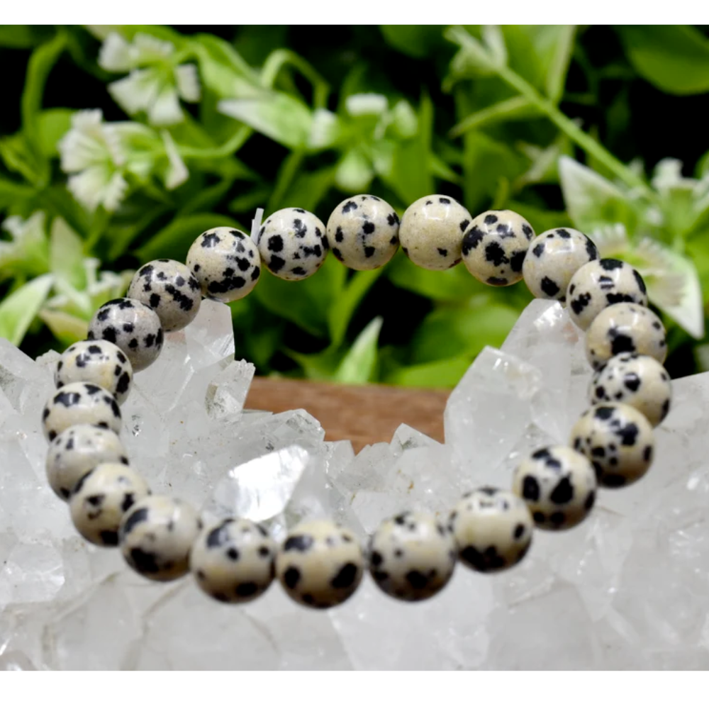 Dalmatian jasper crystal/Dalmatian/Dalmatian jasper bracelet/dalmatian  crystal bracelet/dalmatian jasper benefits/calming crystal/calming bracelet