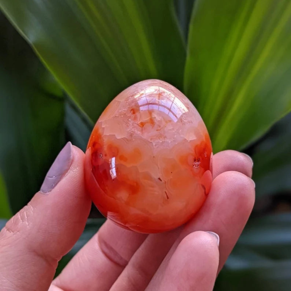 Hand Polished Carnelian Egg Crystal Stones Crystal Shop