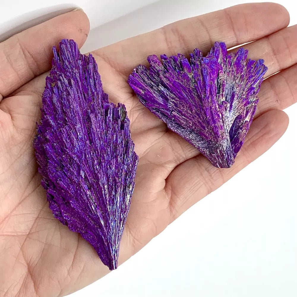 Kyanite Fan Crystal Cluster - Aura Deep Purple - 2.5" to 3.5"