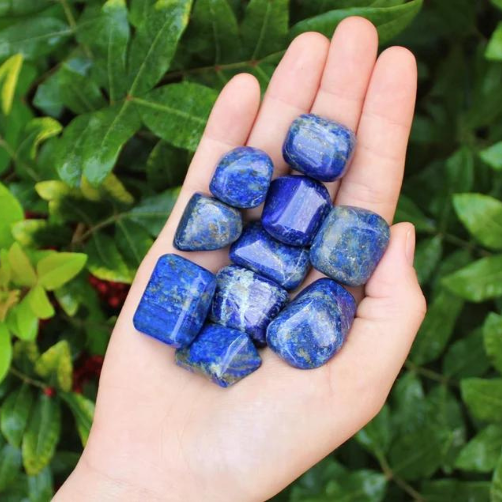 Lapis Lazuli Tumbled Stones A Grade Natural Gemstone Stones Crystal Shop