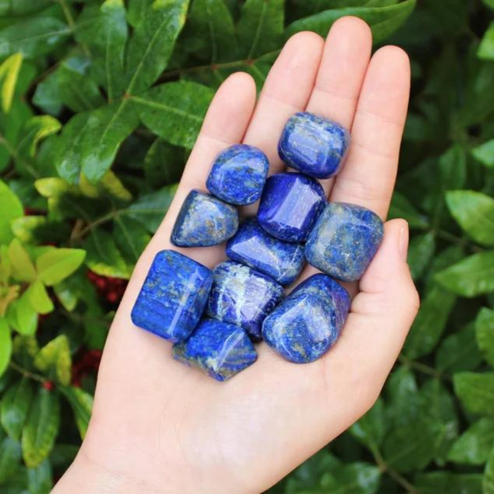 Lapis Lazuli Tumbled Stones - Grade A+ Natural Gemstone - 1-2