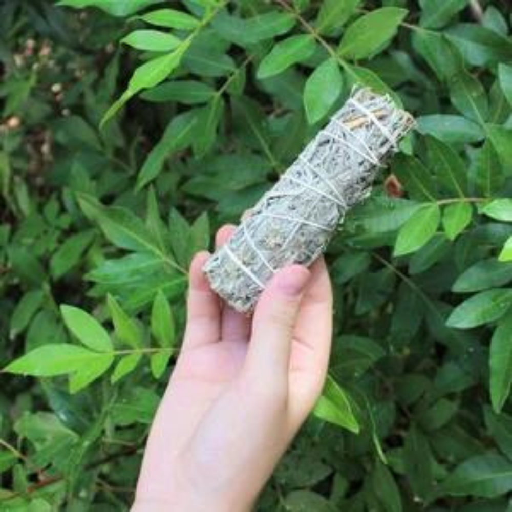 Sage Smudge Sticks ( LK) my photos Stones Crystal Shop