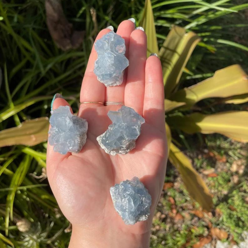 Got an amethyst and celestite in the mail this morning. Really liked their  vibrancy so I wanted to share!! : r/Crystals