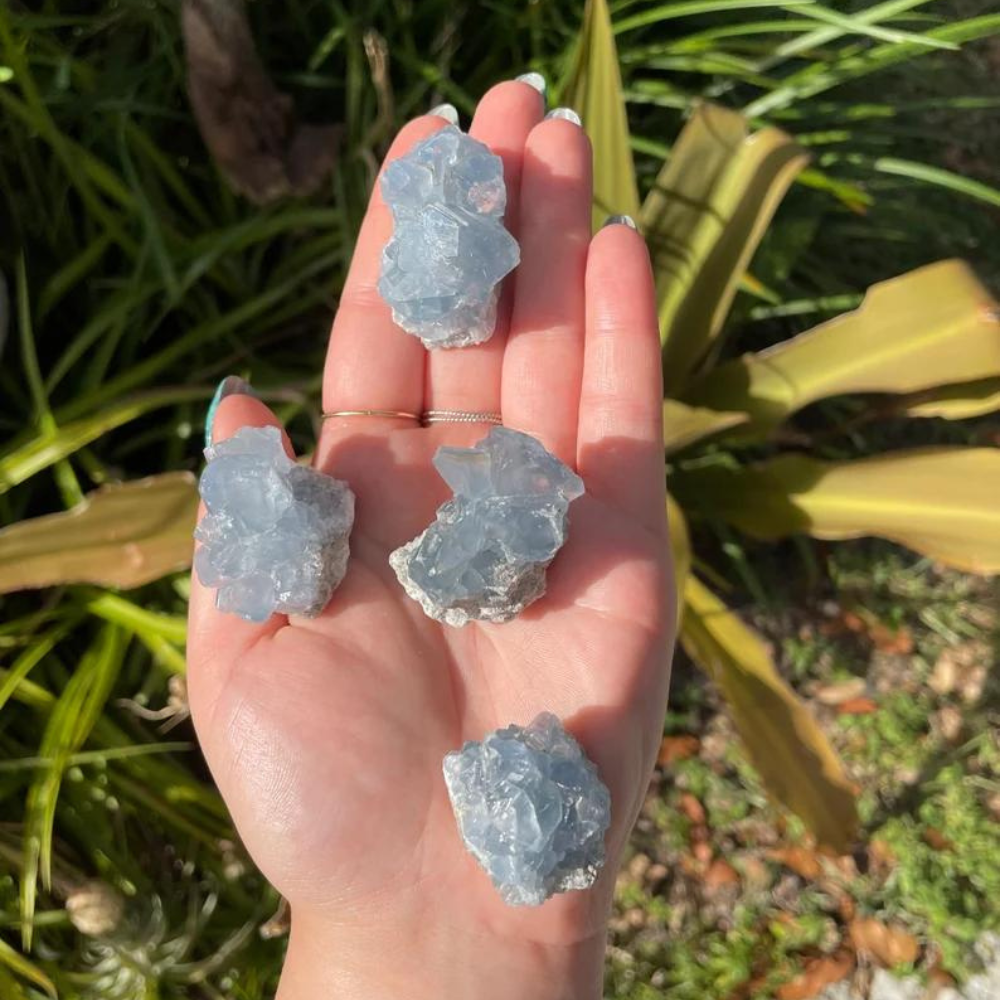 Small Blue celestite clusters Stones Crystal Shop