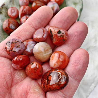 South Red Agate Stones Crystal Shop