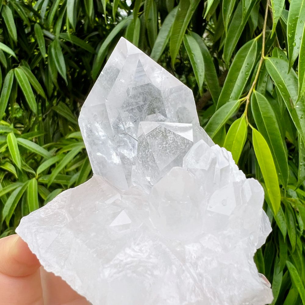 White Quartz Cluster CHECK Stones Crystal Shop